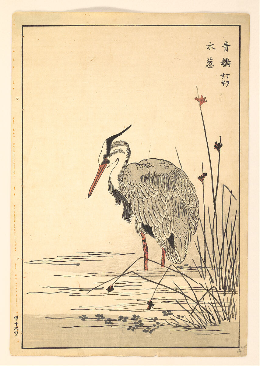 Gray Heron (Aosagi) and Mizu-aoi Plant, Unidentified artist Japanese, Woodblock print; ink and color on paper, Japan 
