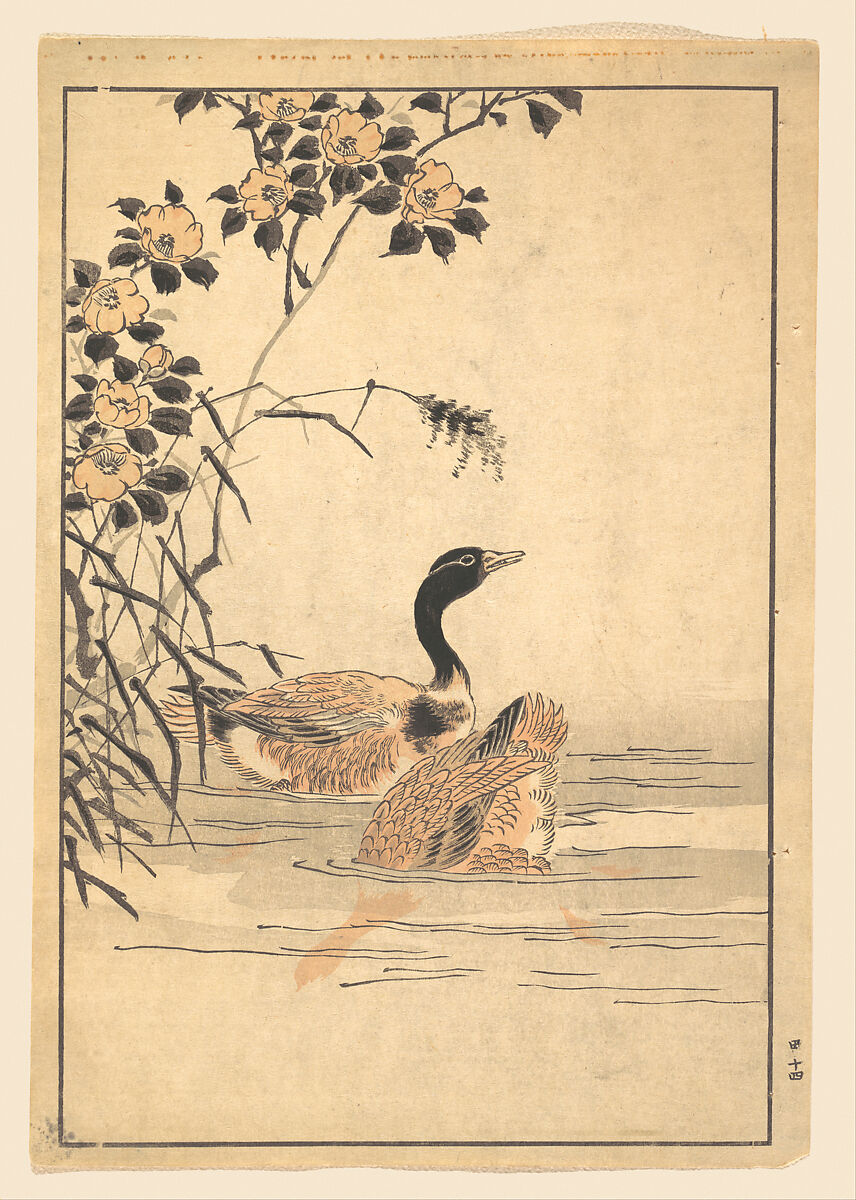 A Pair of Geese with Camellias, Unidentified artist Japanese, Woodblock print; ink and color on paper, Japan 
