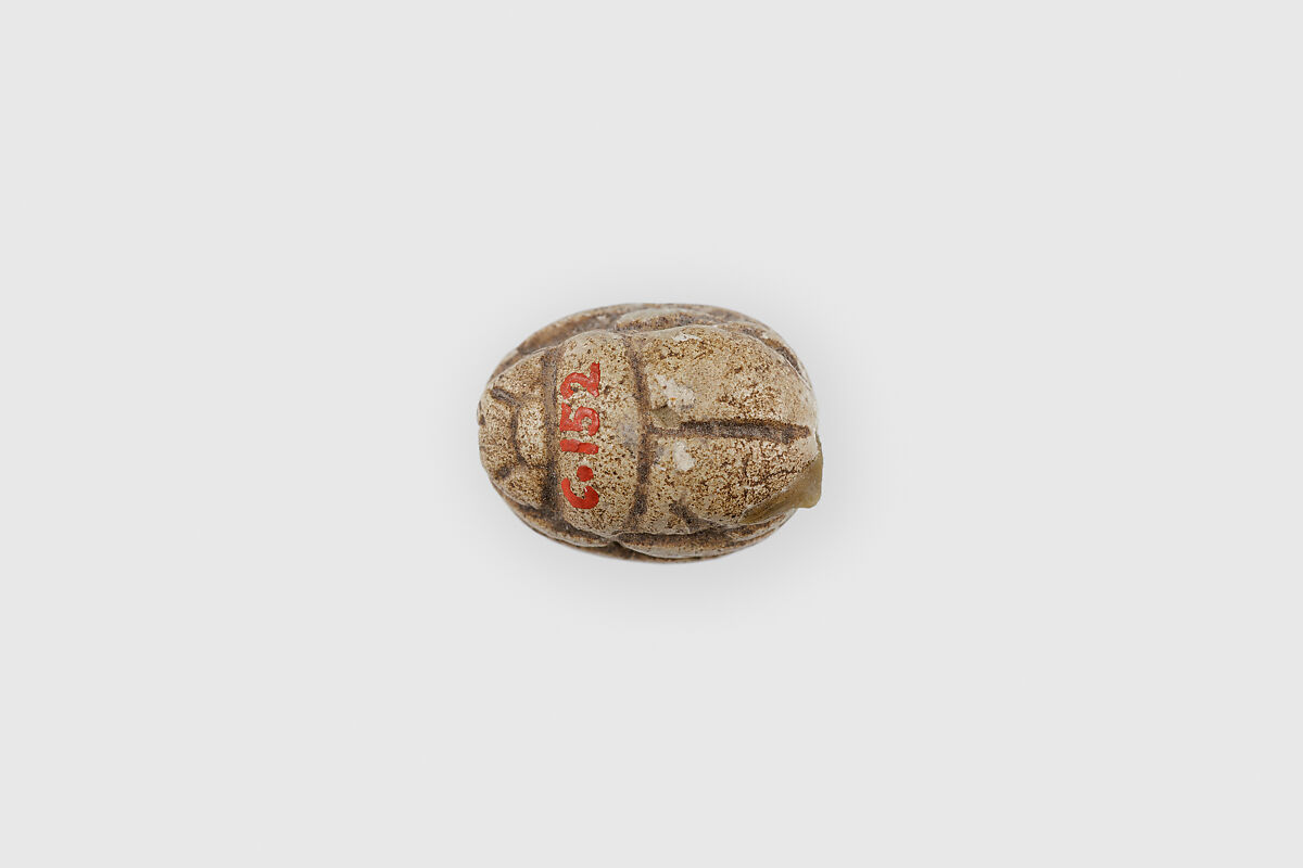 Scarab, Hatshepsut, Faience