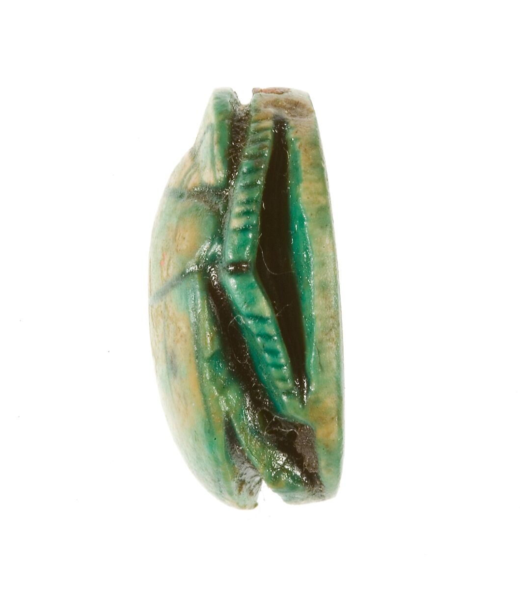 Scarab Inscribed with the Name Maatkare Over a Papyrus Thicket, Steatite (glazed)