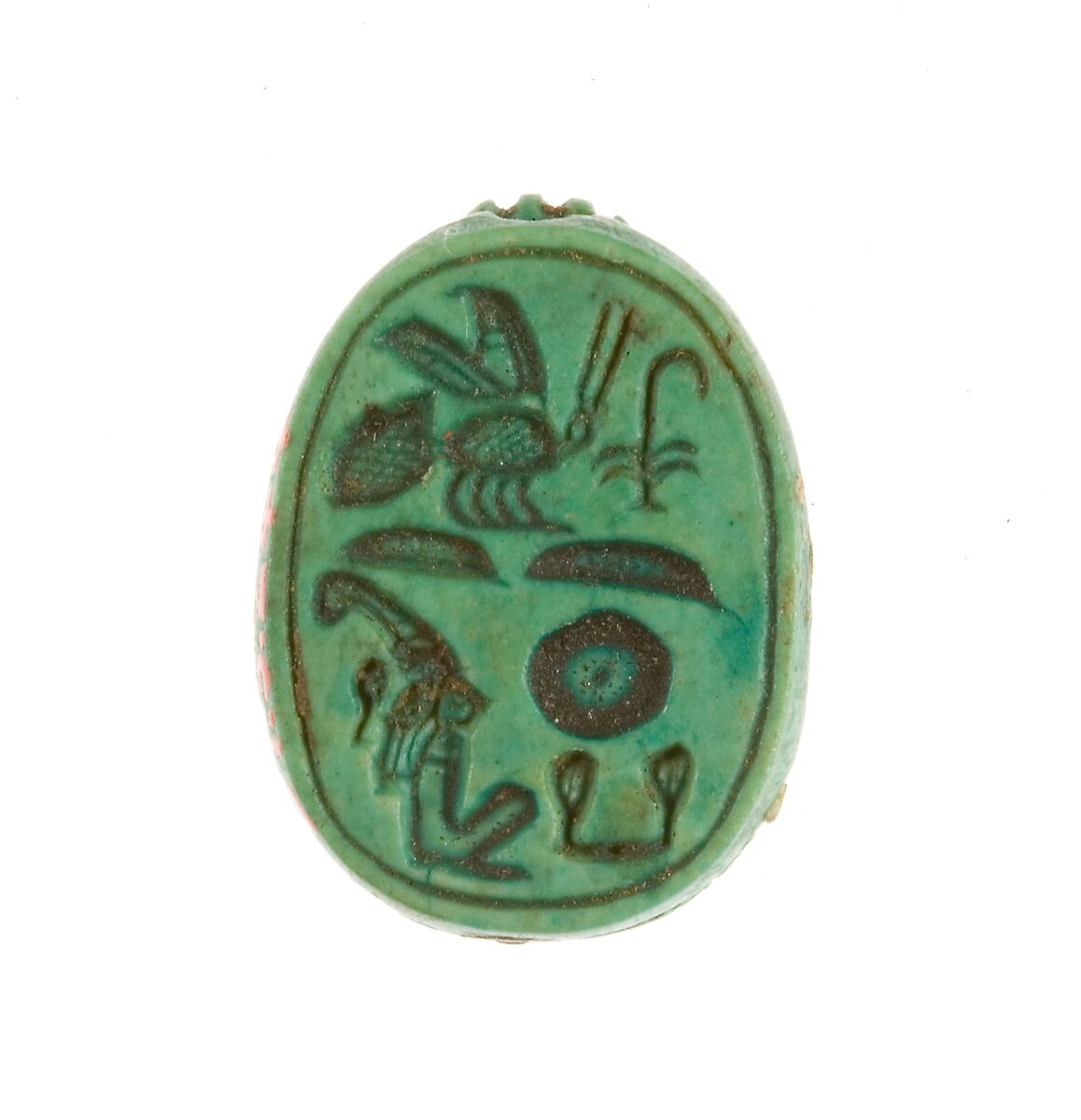 Scarab Inscribed for the King of Upper and Lower Egypt Maatkare (Hatshepsut), Steatite (glazed) 