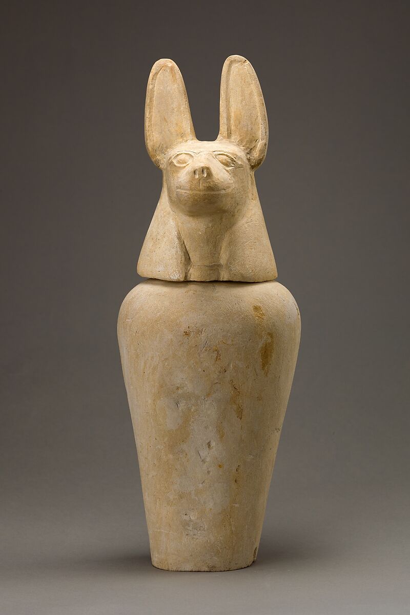 Canopic jar with jackal head, Limestone 