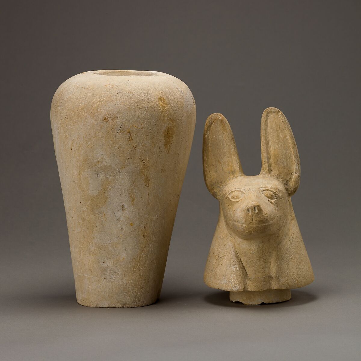 Canopic jar with jackal head, Limestone