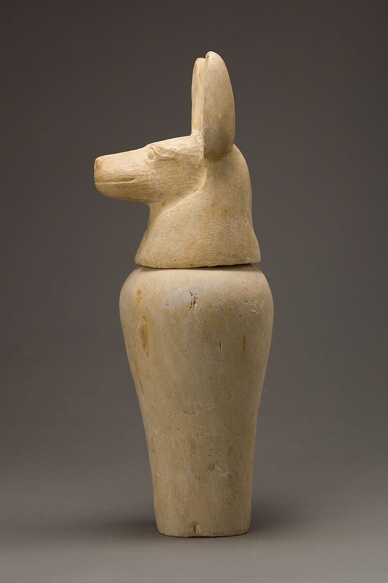 Canopic jar with jackal head, Limestone