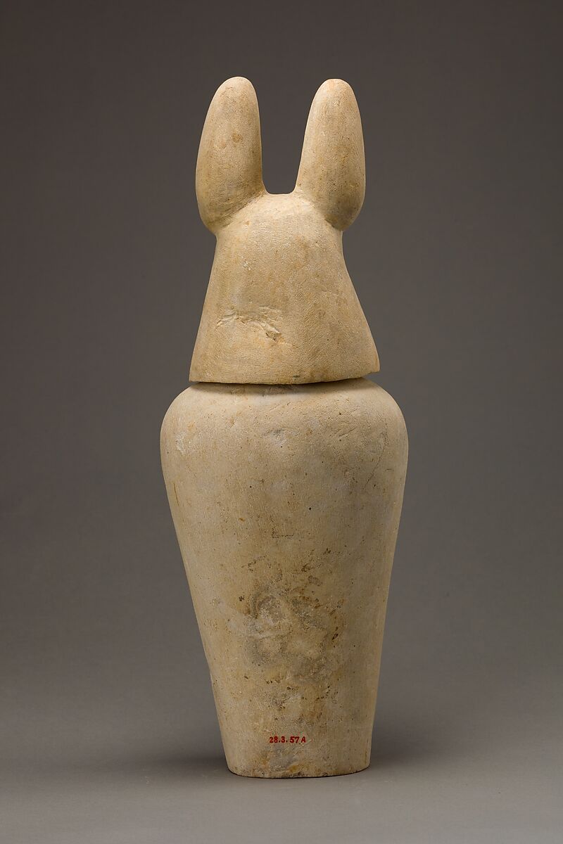Canopic jar with jackal head, Limestone