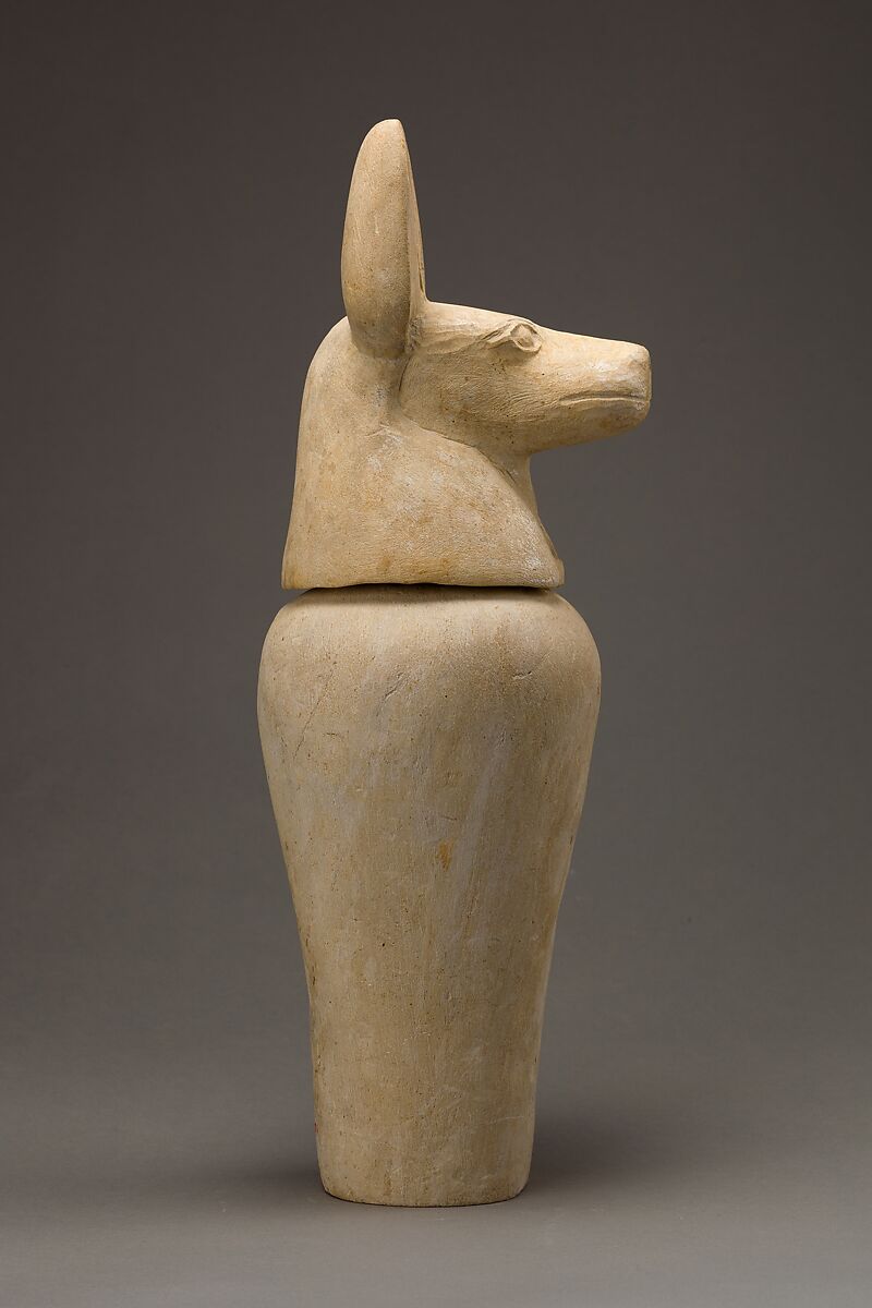Canopic jar with jackal head, Limestone