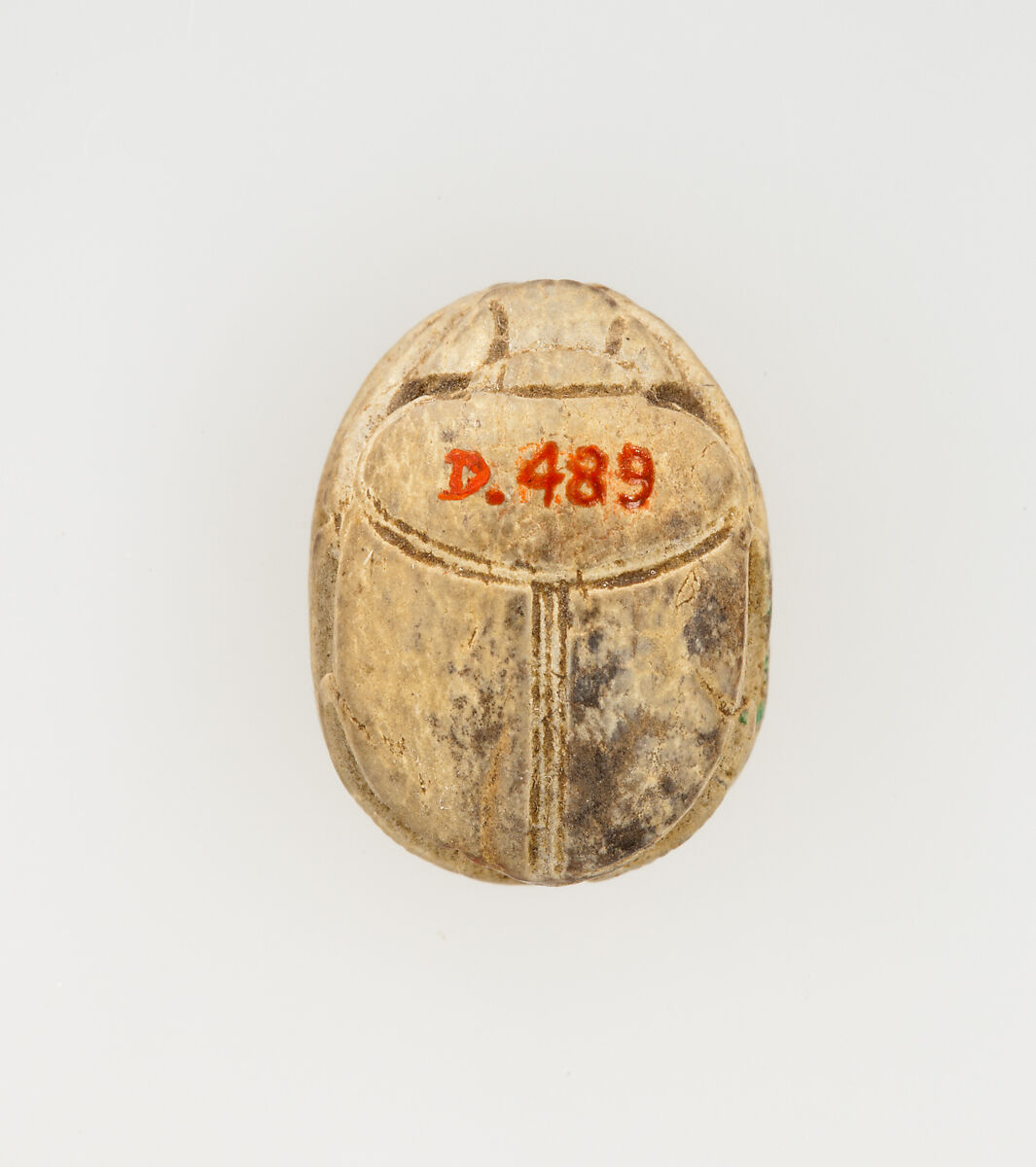 Scarab Inscribed for Thutmose I, Steatite, glazed