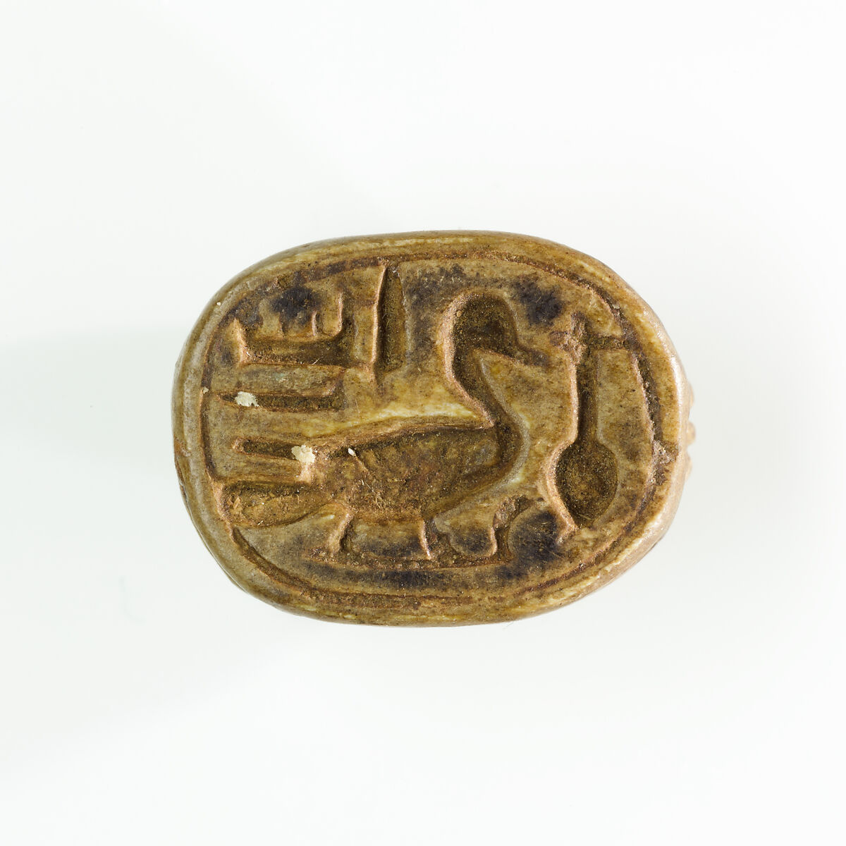 Scarab, private, Faience 