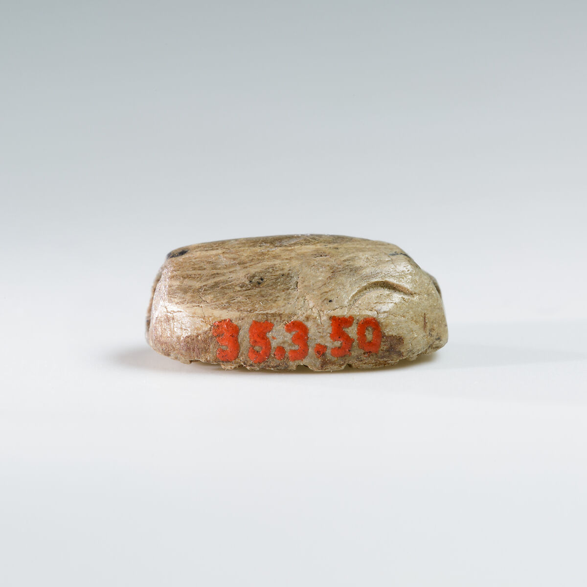 Cowroid Stamp Seal from Ruiu's Burial, Steatite (glazed)