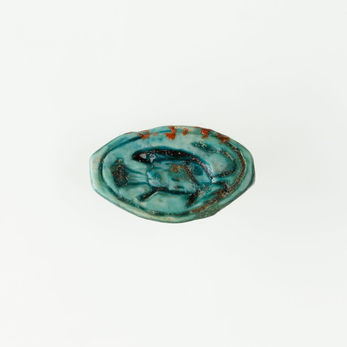 Cowroid Seal-Amulet, Glazed steatite 