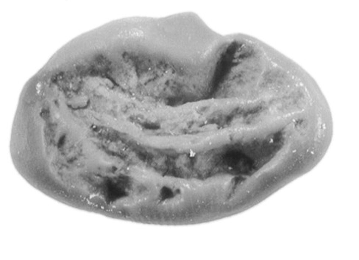 Sealing, Mud