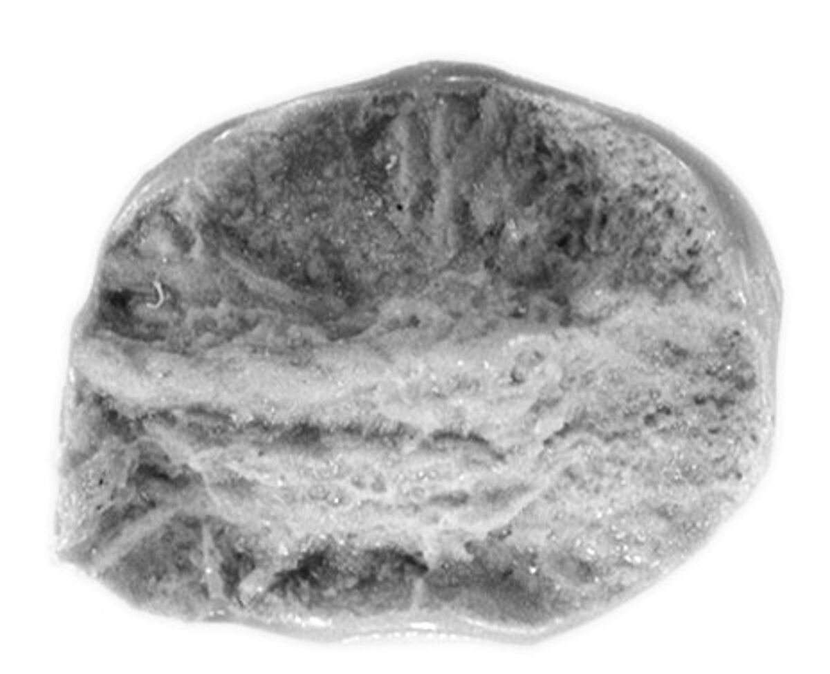 Sealing, Mud