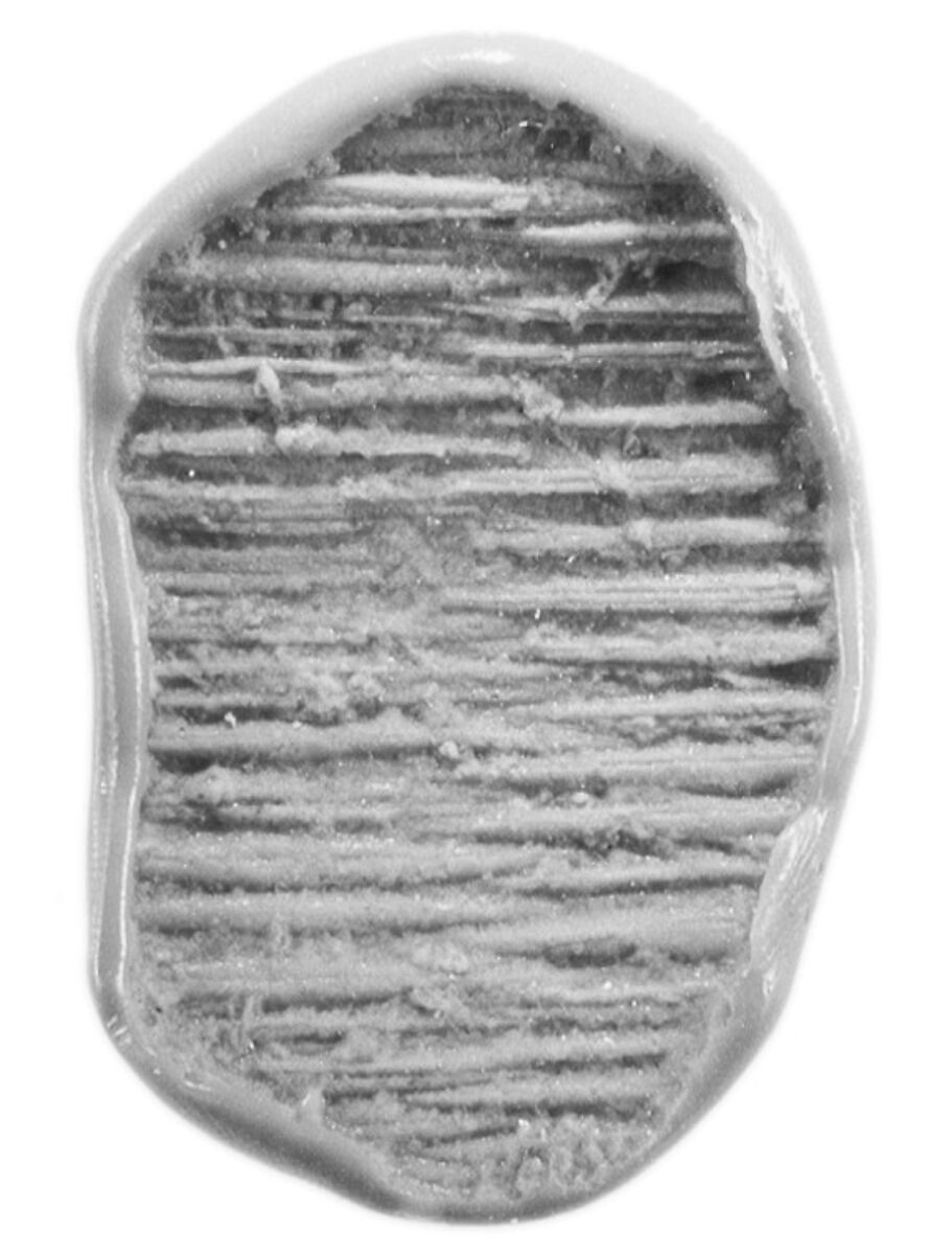 Sealing, Mud