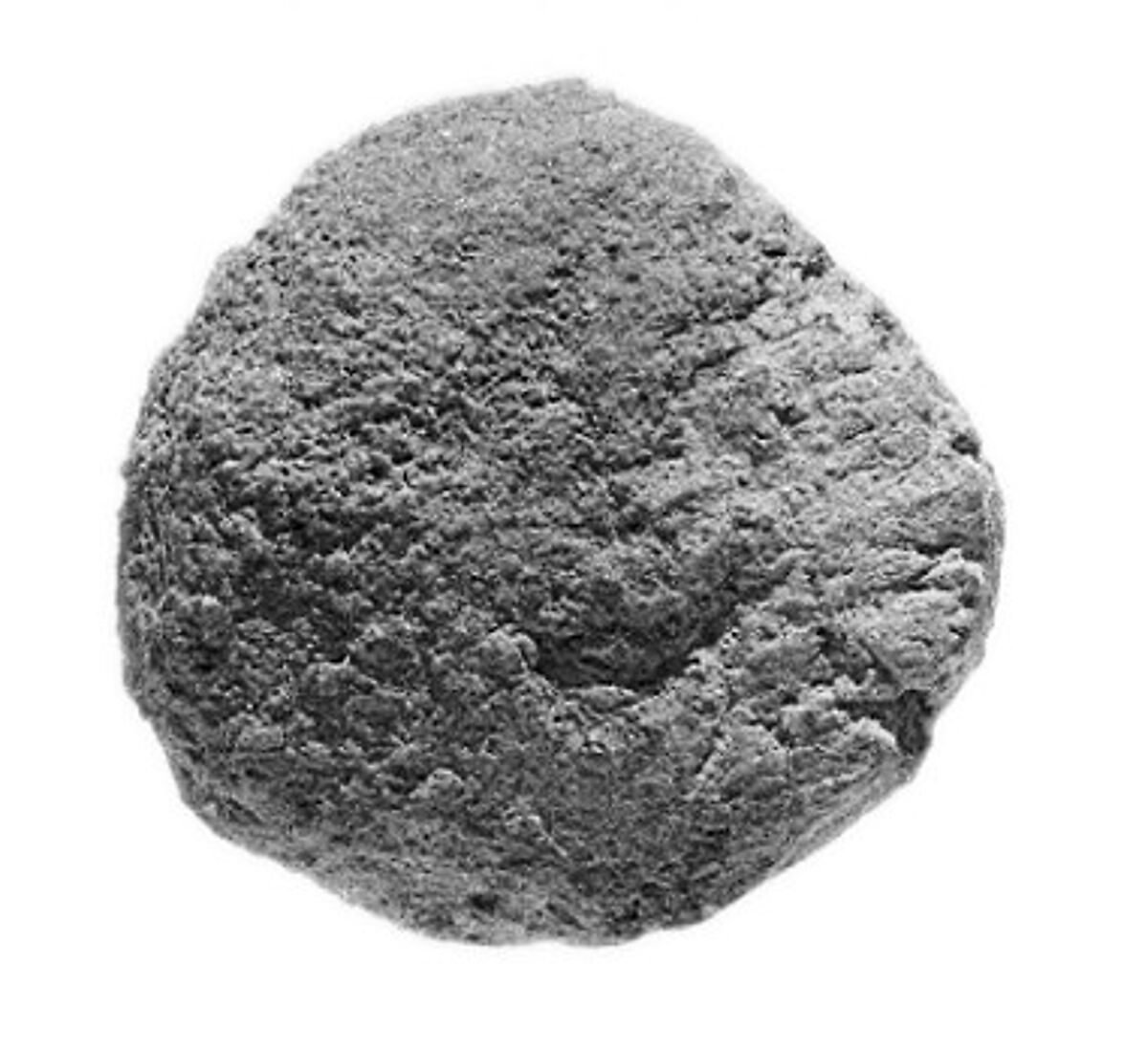 Sealing, Mud 