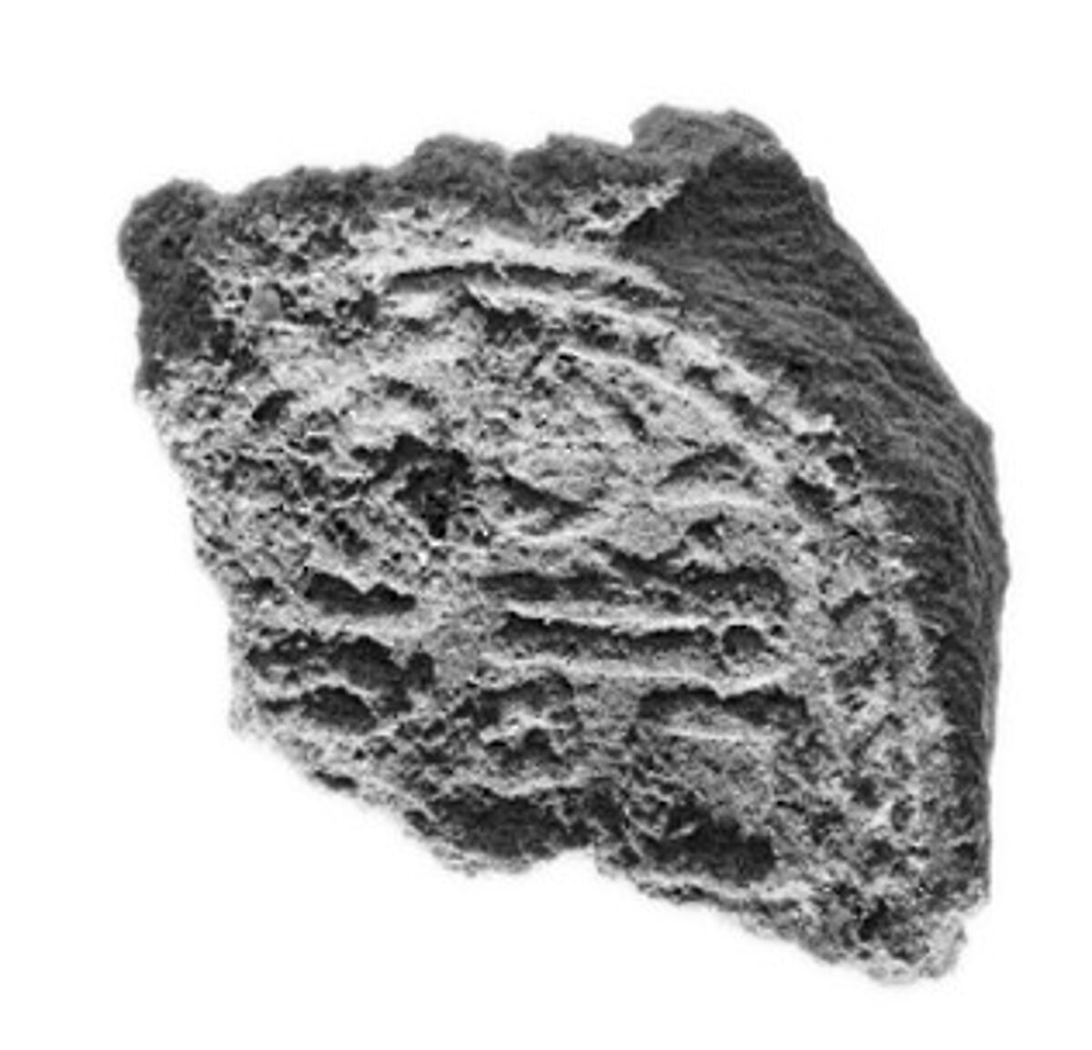 Sealing, Mud 