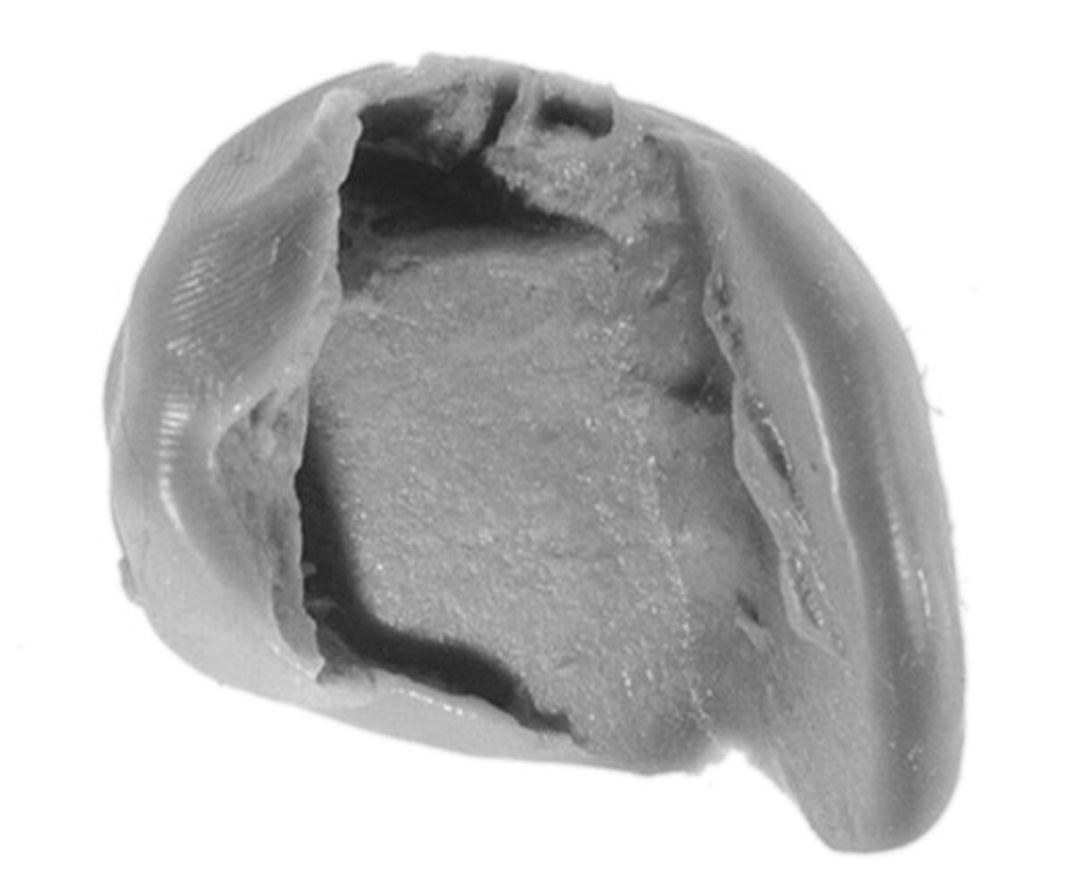 Sealing, Mud