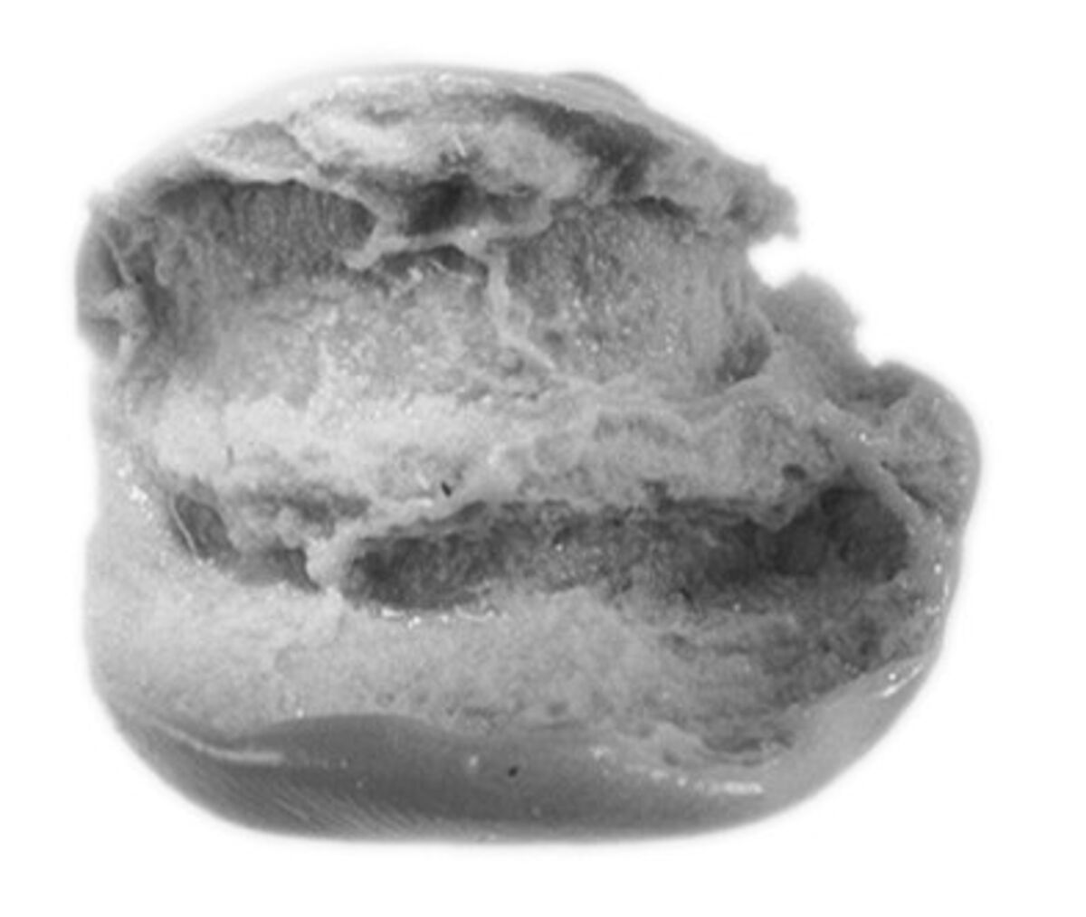 Sealing, Mud