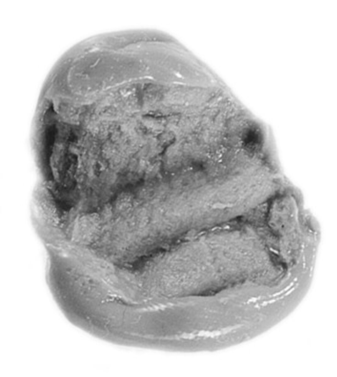 Sealing, Mud