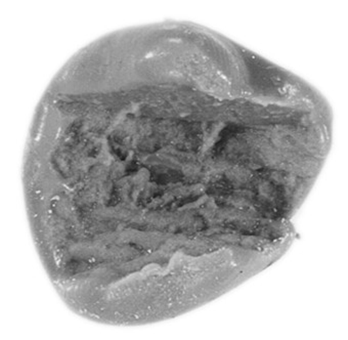 Sealing, Mud