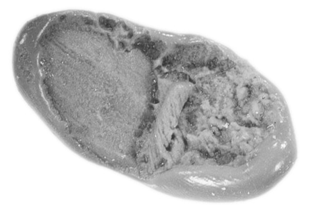 Sealing, Mud