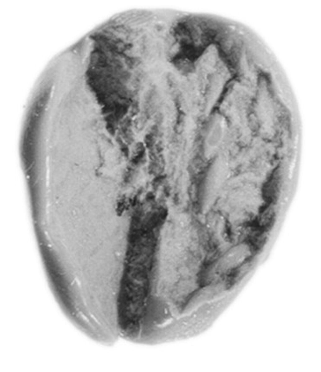Sealing, Mud