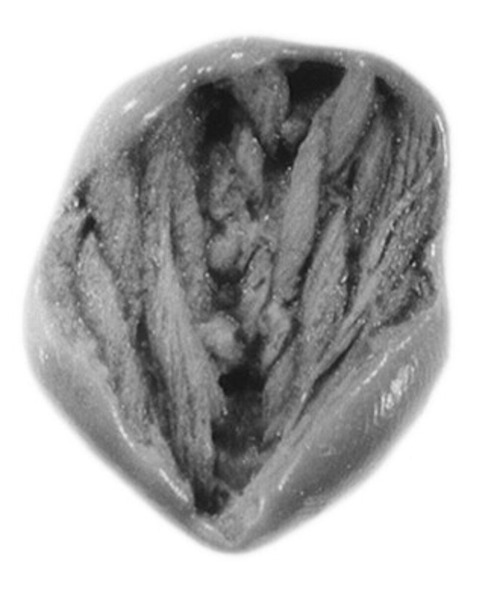 Sealing, Mud