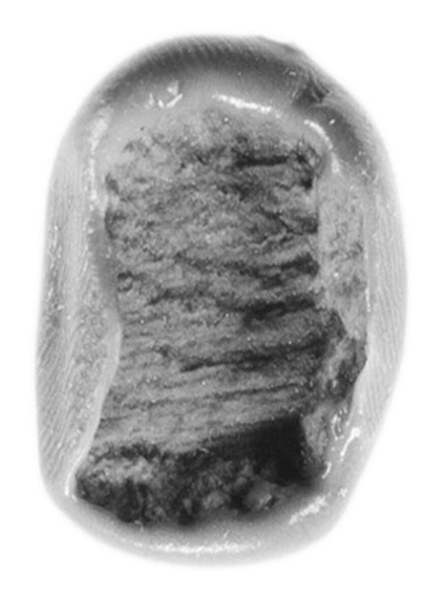 Sealing, Mud