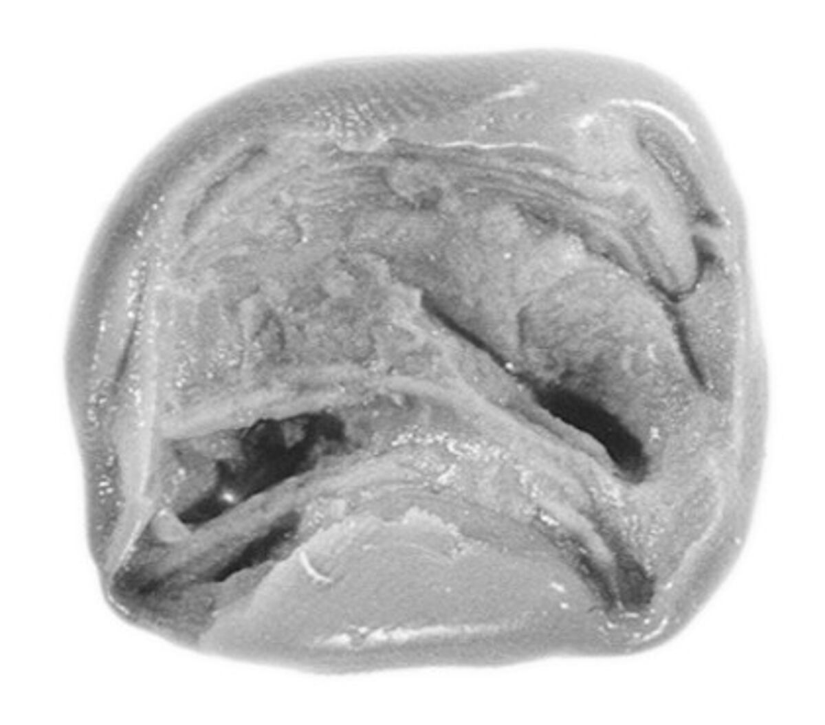 Sealing, Mud