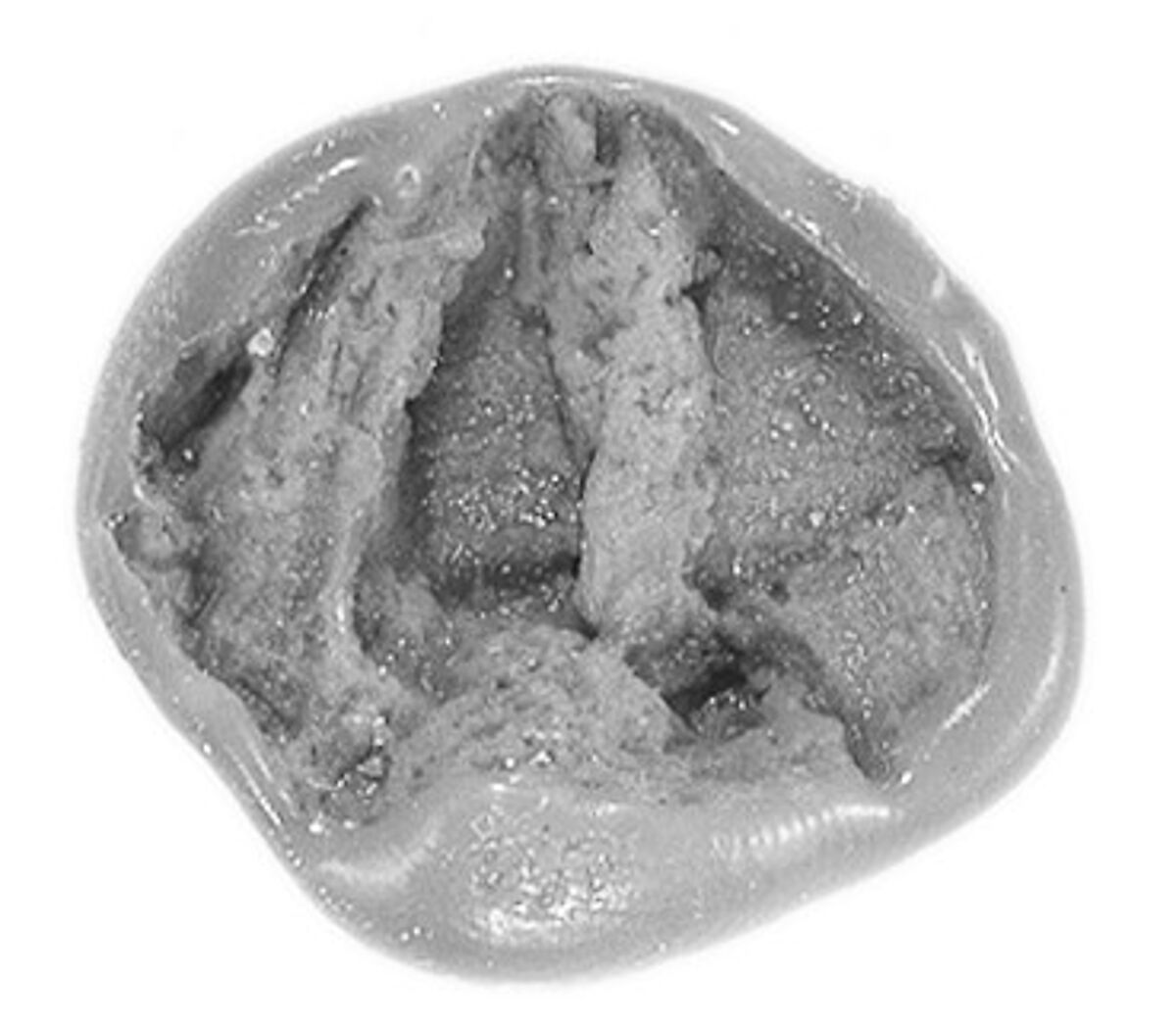 Sealing, Mud