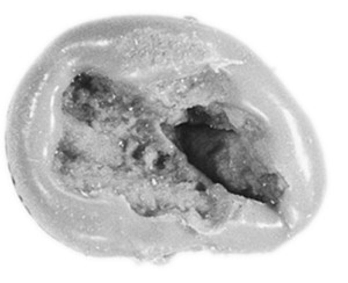 Sealing, Mud