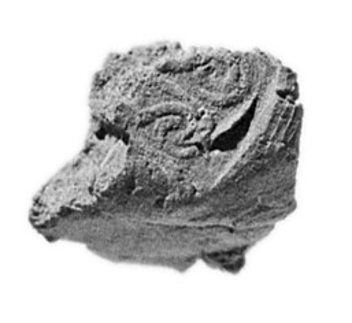 Sealing, Mud 