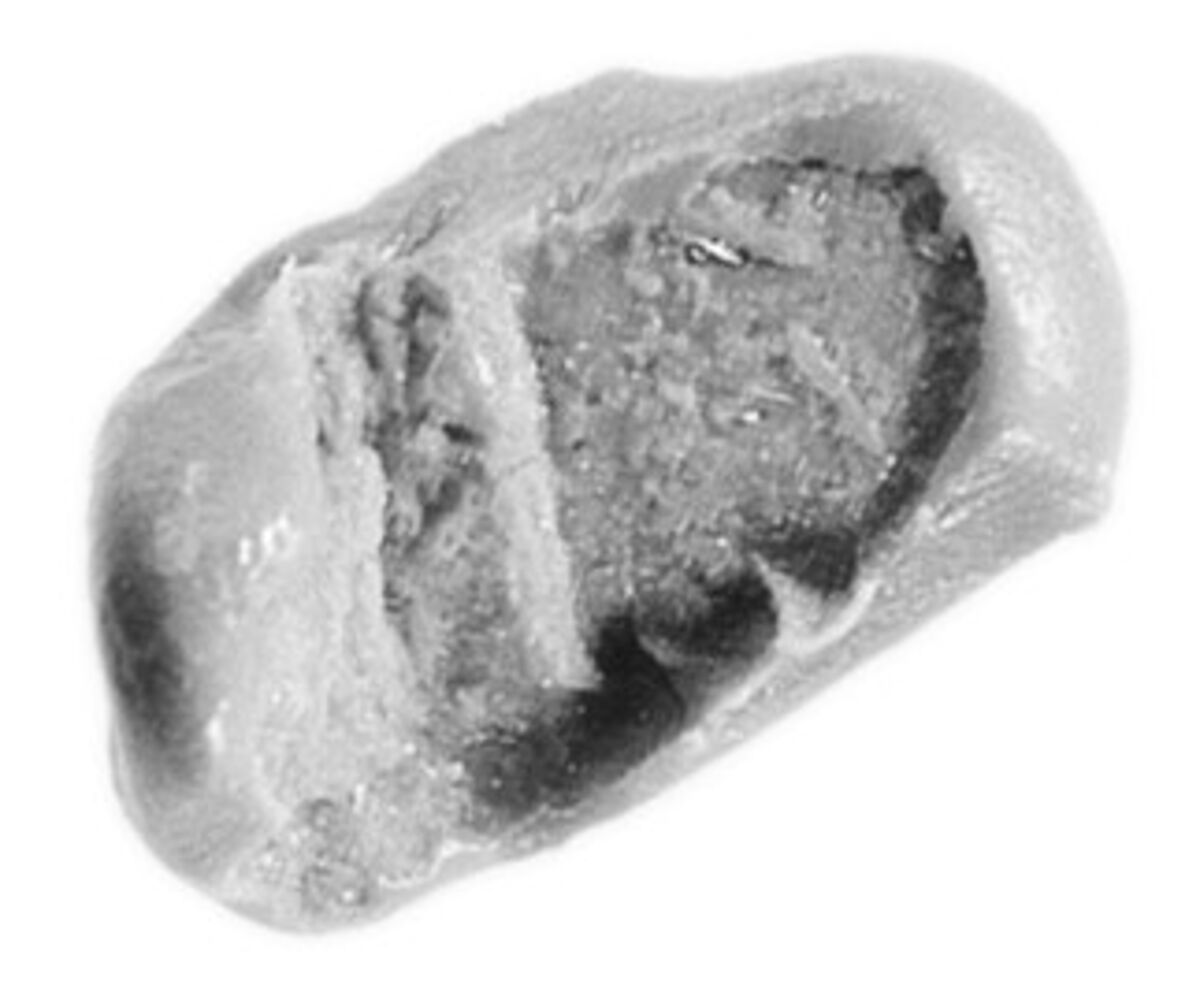 Sealing, Mud