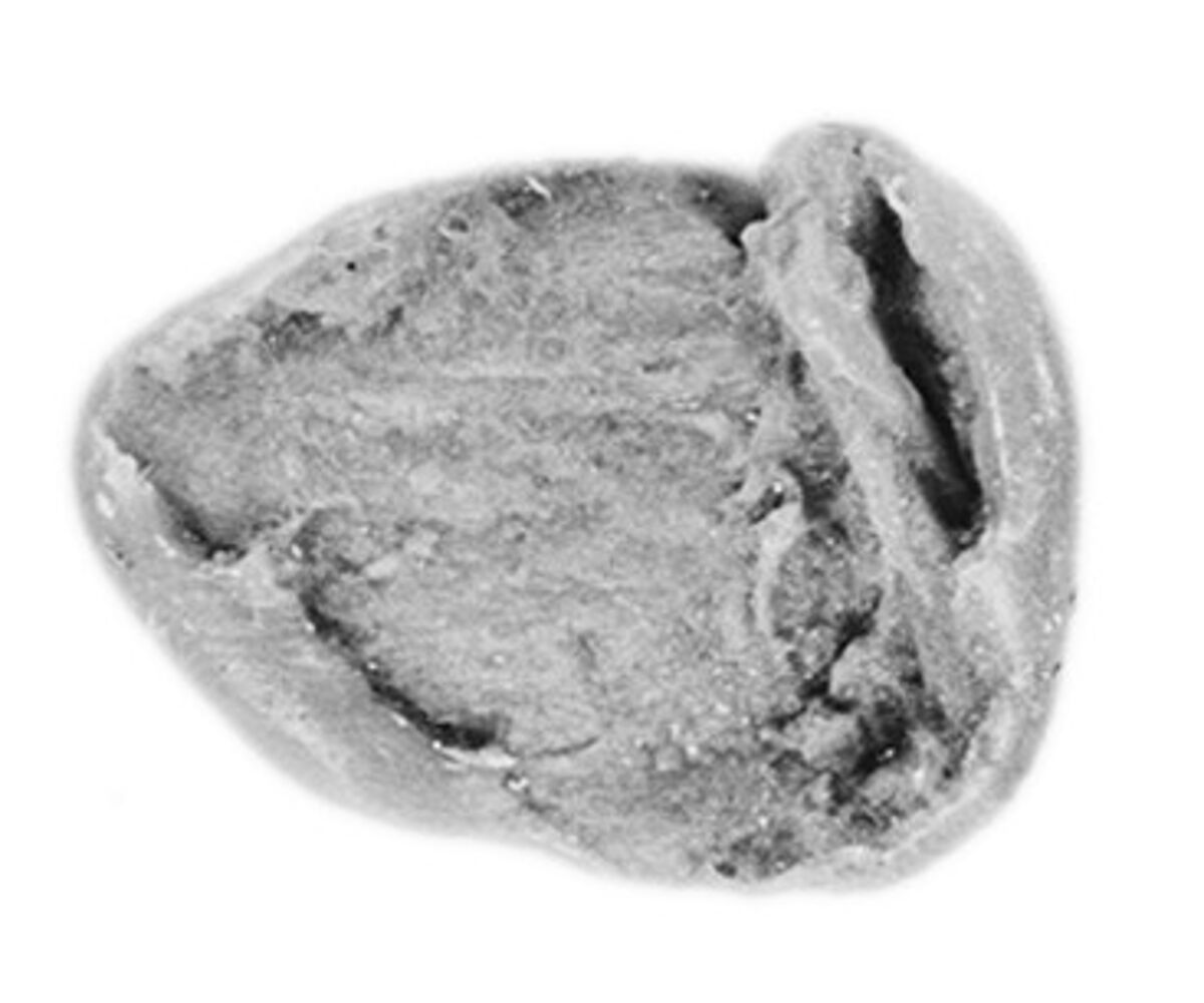 Sealing, Mud