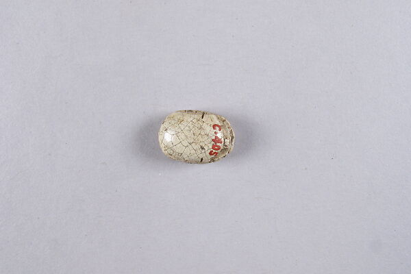 Scarab with ichneumon (mongoose), Steatite
