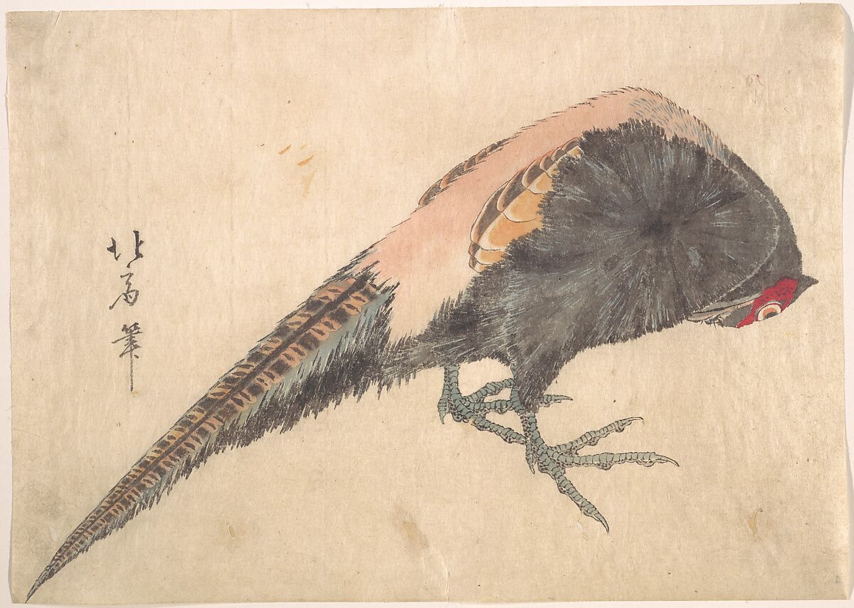 Bird, Hakusanjin Hokui (Japanese, active ca. 1830–1840), Woodblock print; ink and color on paper, Japan 