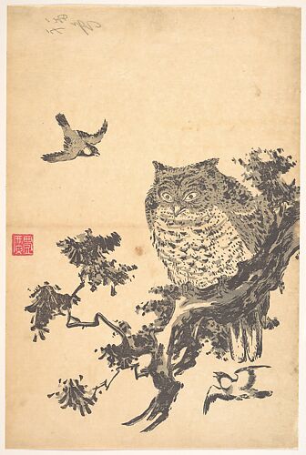 Owl and Two Swallows