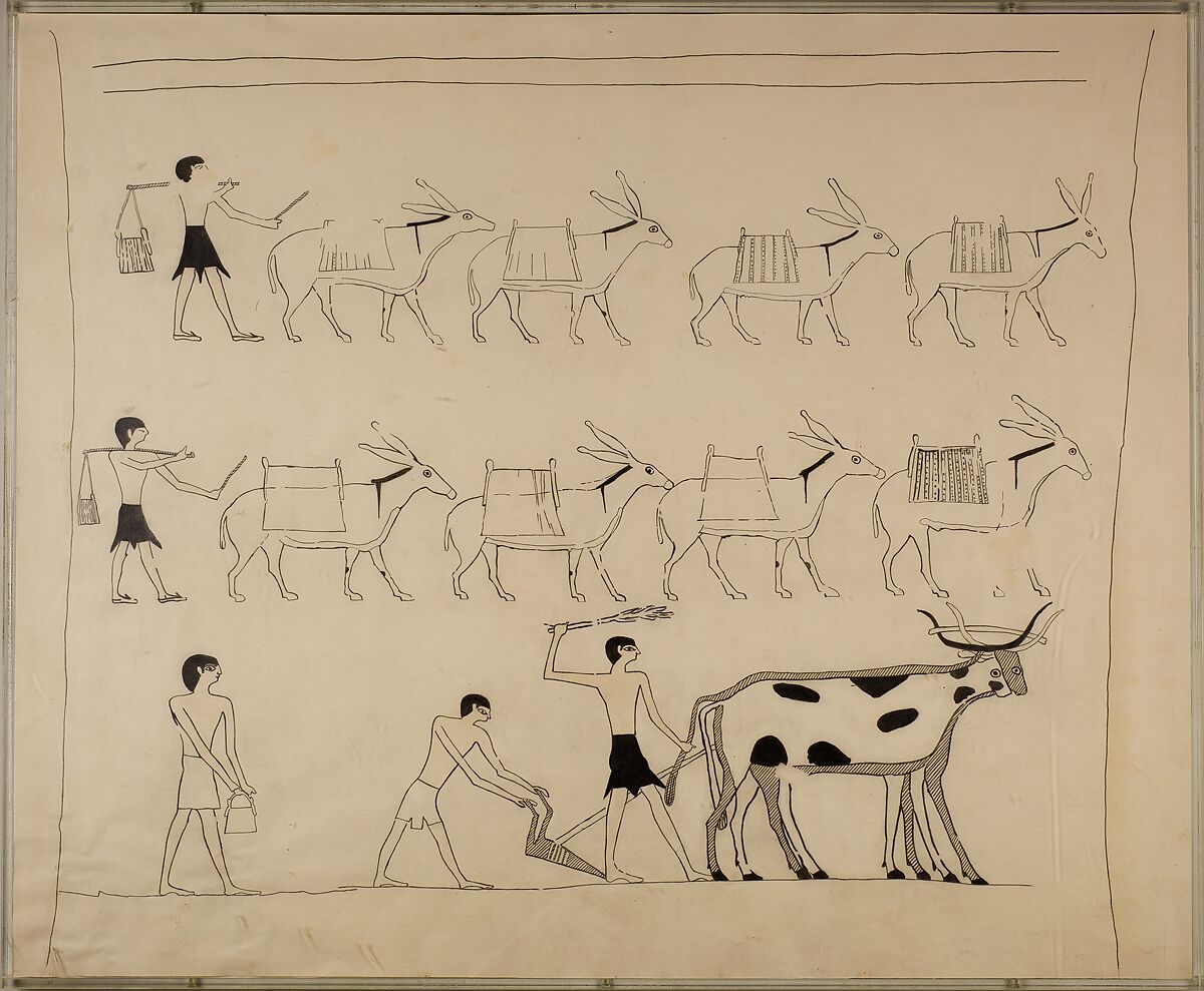 Laden Donkeys and Men Plowing, Tomb of Djari, Unknown Copyist [member of the MMA Egyptian Expedition], Ink on Paper 