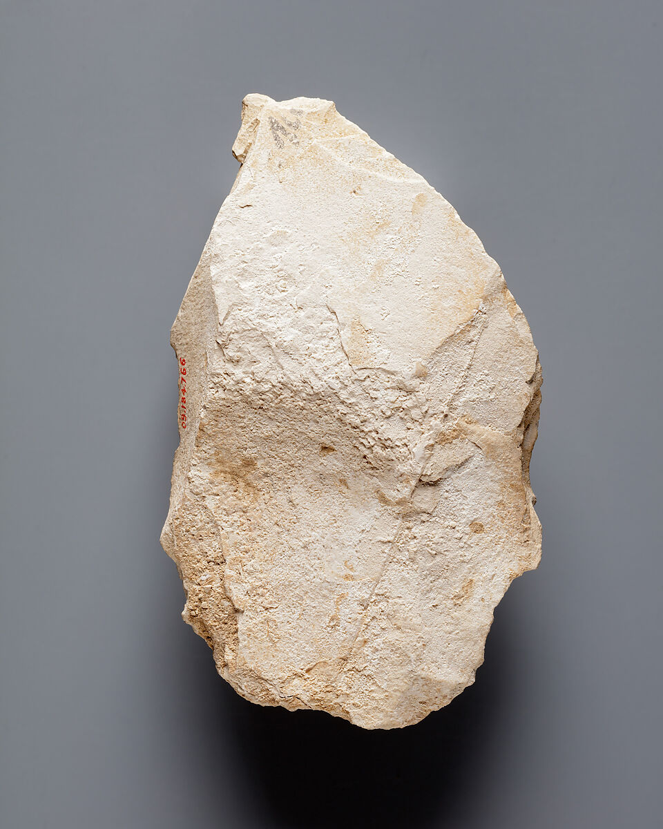 Hieratic ostracon, Limestone, ink, paint