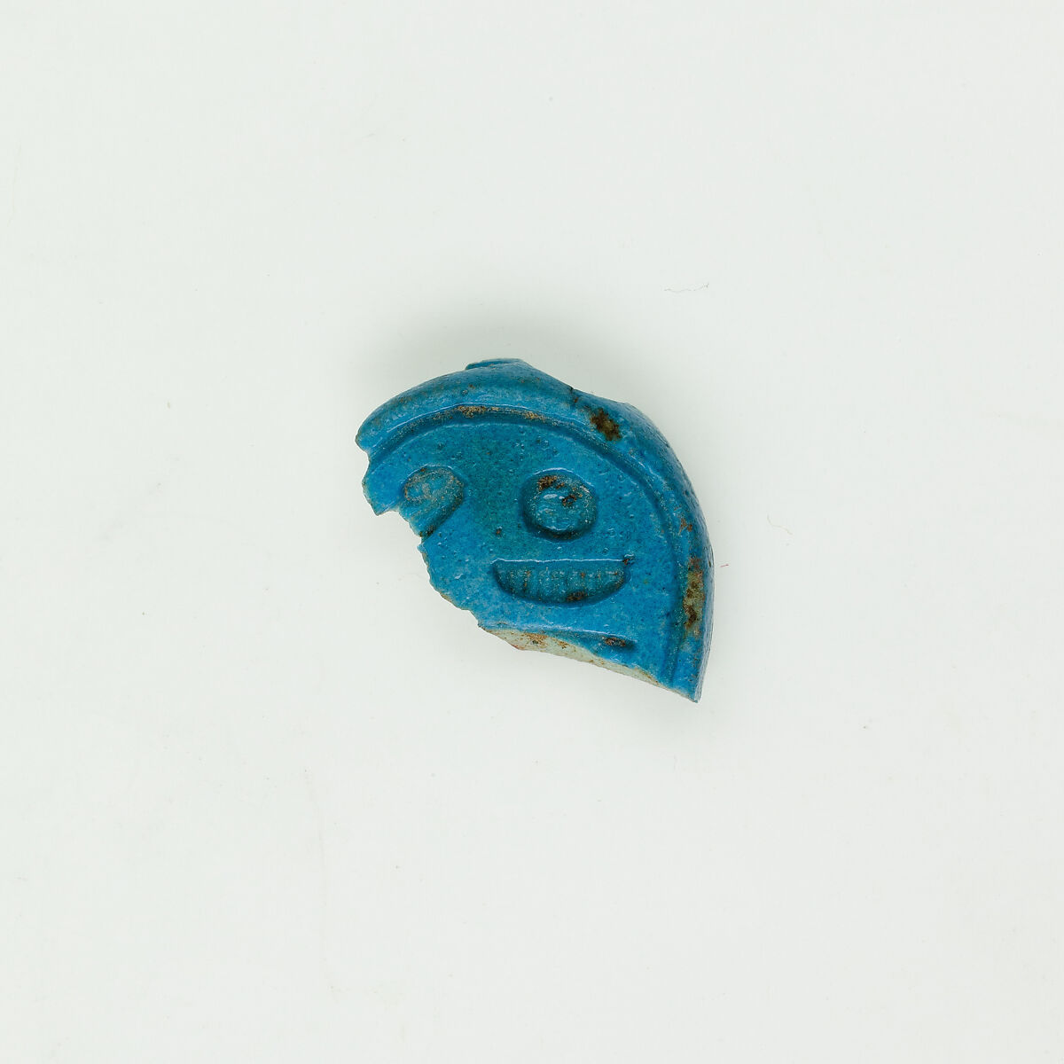 Scarab fragment, Faience, blue glazed 