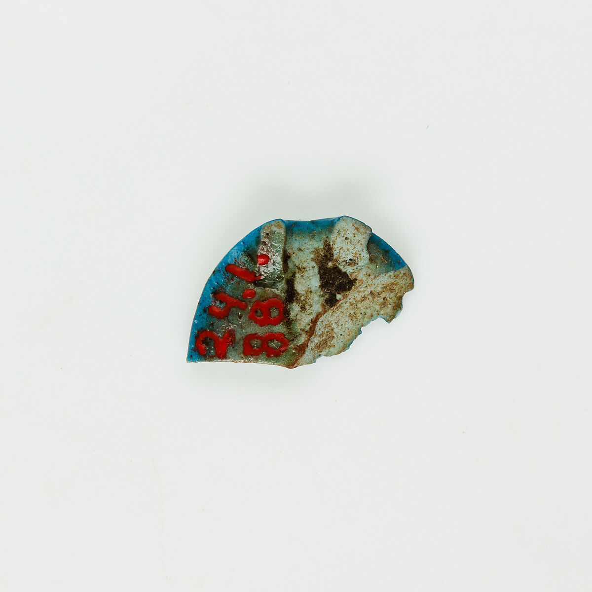 Scarab fragment, Faience, blue glazed