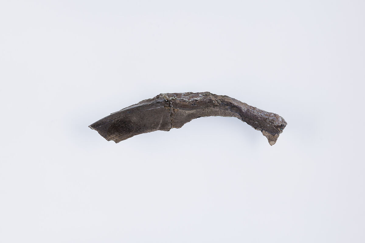 Rim fragment, Silver 