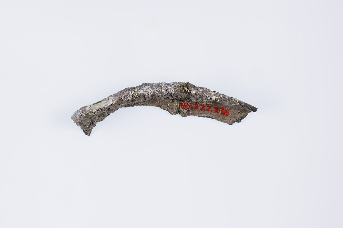 Rim fragment, Silver