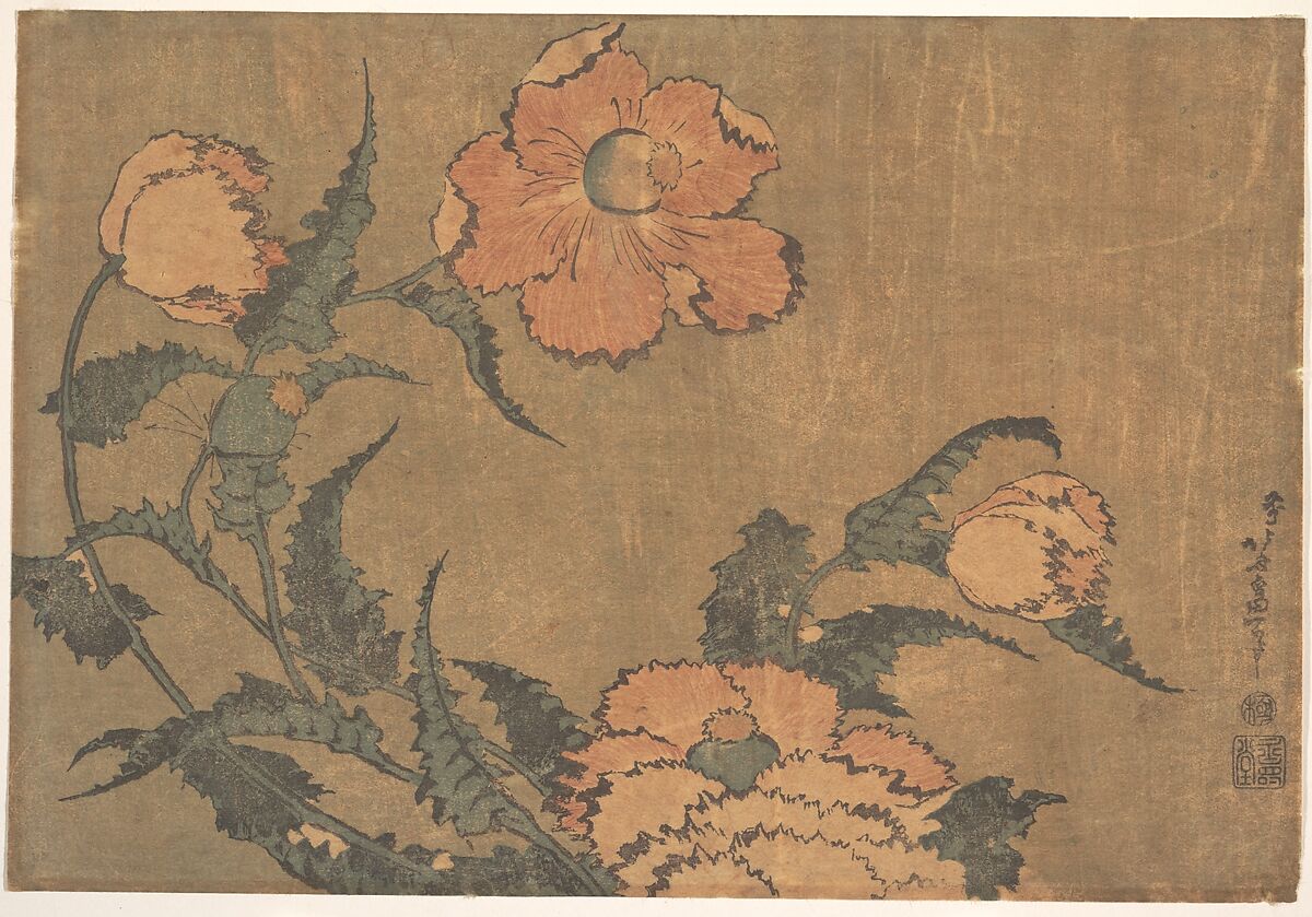 Poppies in the Wind, Katsushika Hokusai (Japanese, Tokyo (Edo) 1760–1849 Tokyo (Edo)), Woodblock print; ink and color on paper, Japan 