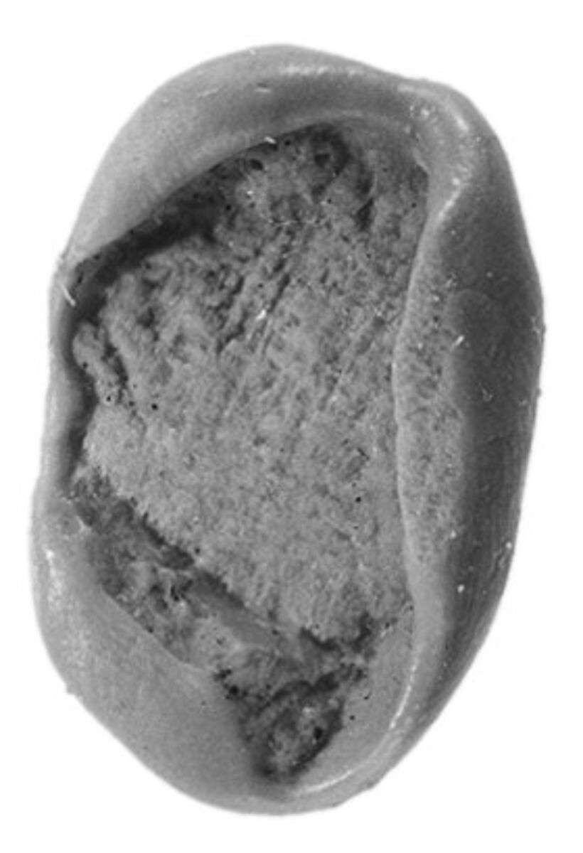 Sealing, Clay (unfired)