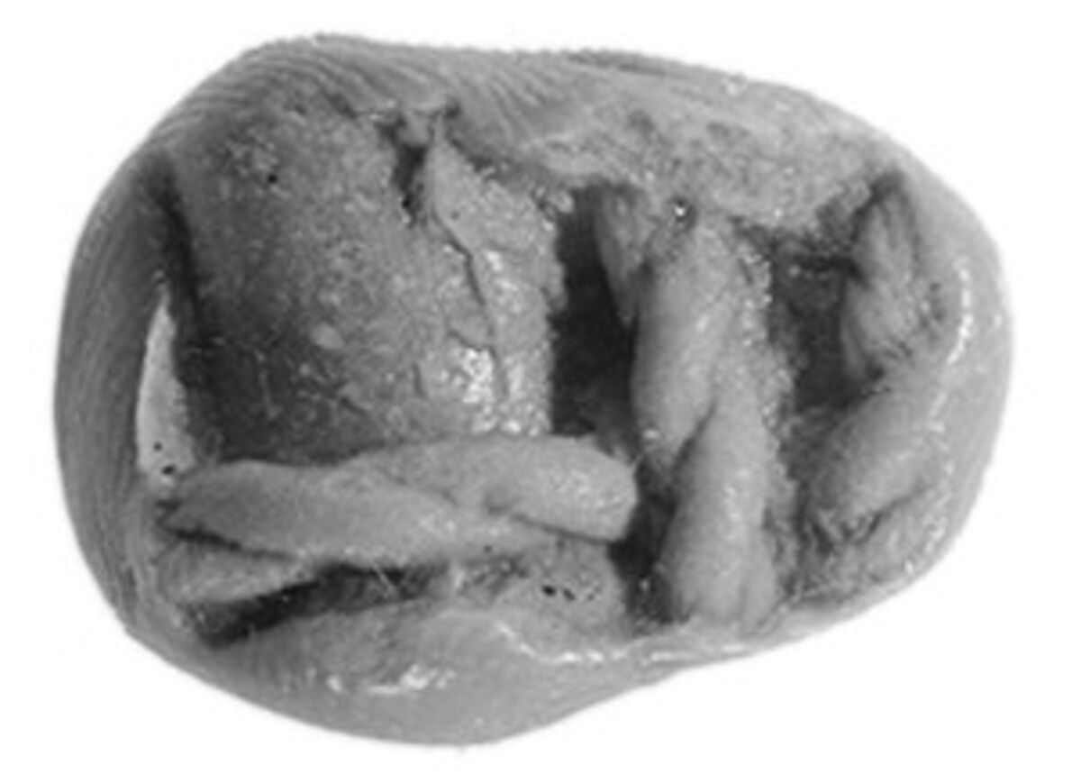 Sealing, Clay (unfired)