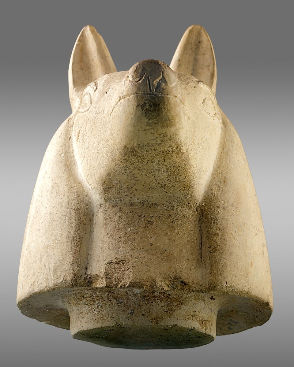 Canopic jar with head of jackal (Duamutef), Limestone