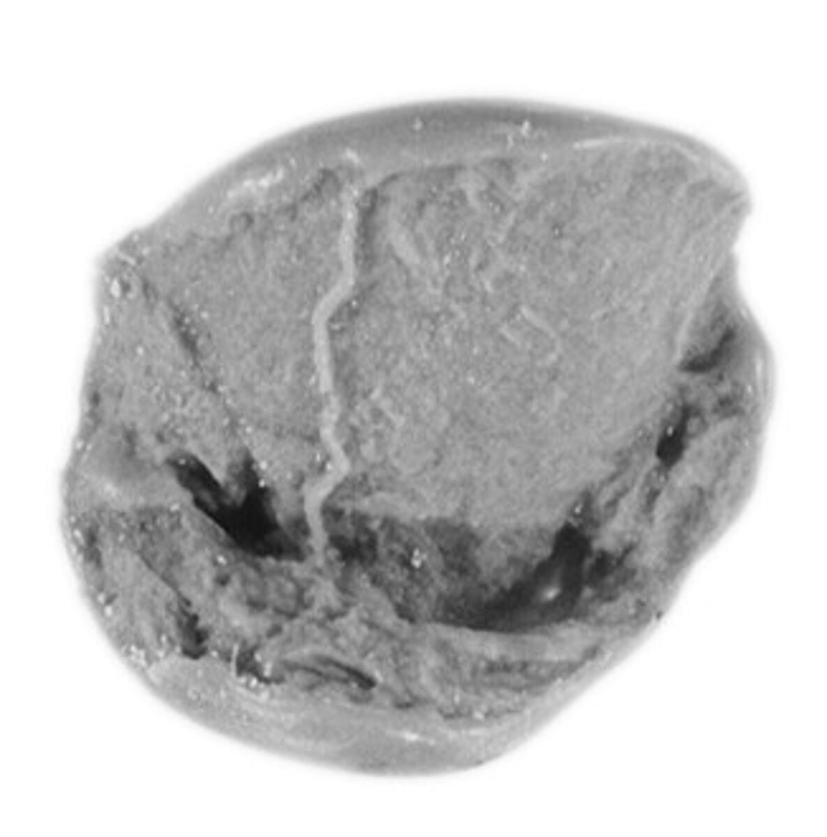 Sealing, Mud