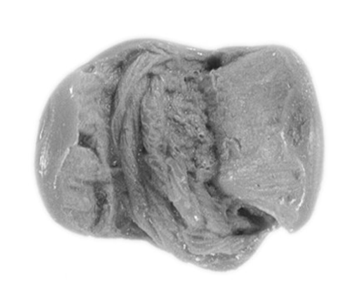 Sealing, Mud