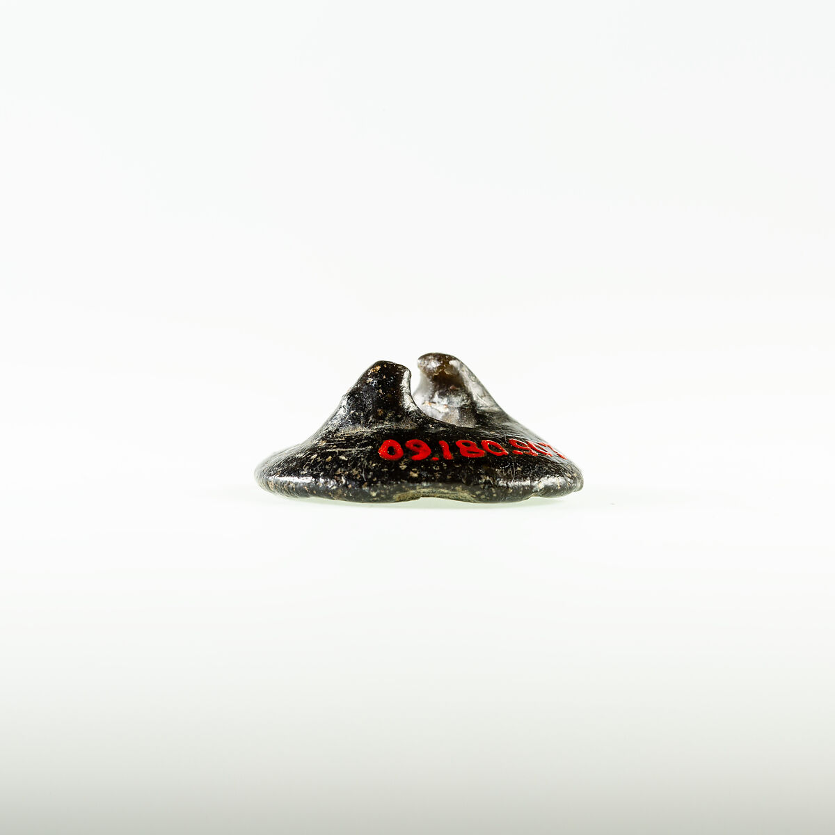 Button Seal, Black steatite