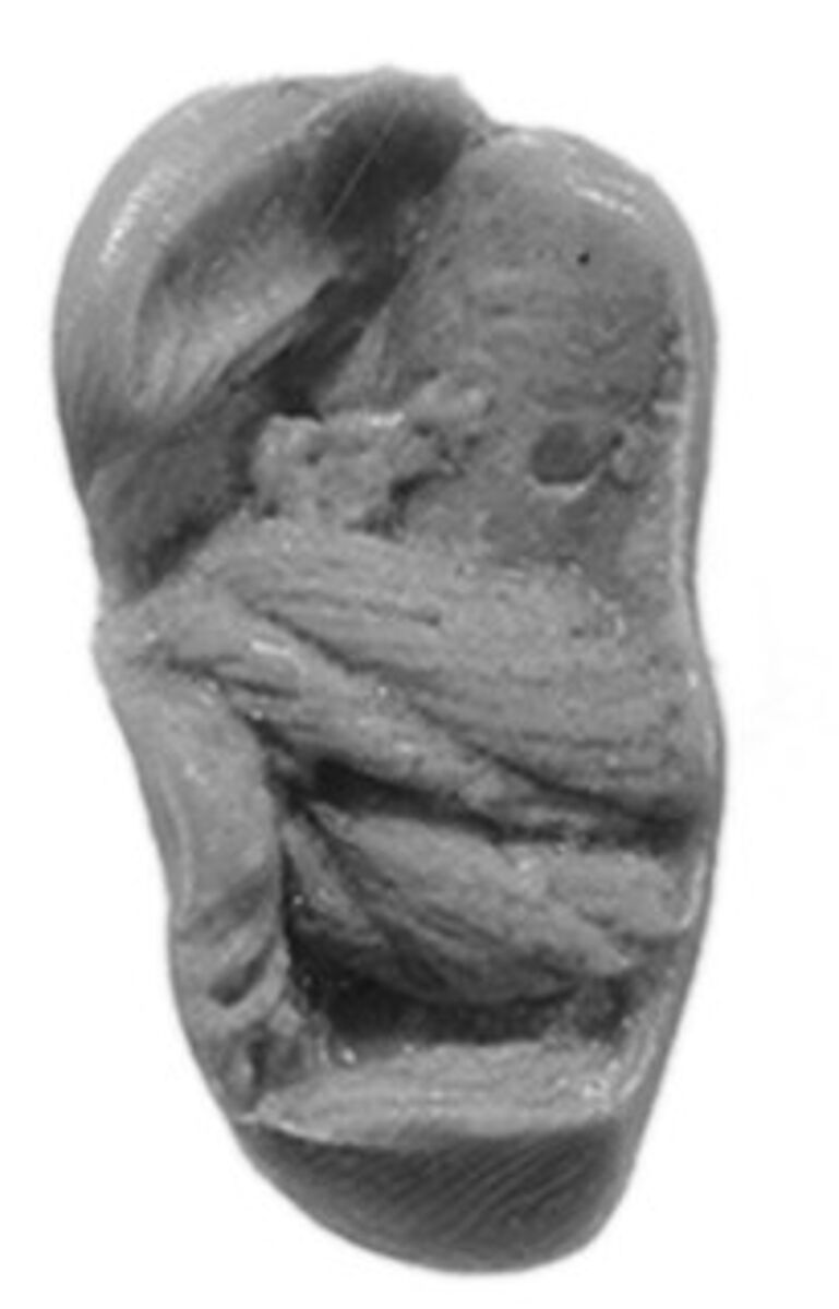 Sealing, Clay (unfired)